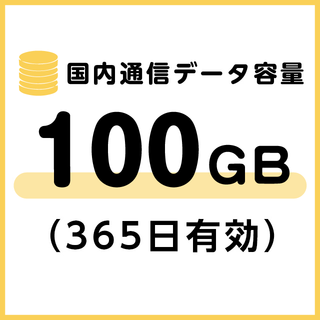 国内通信データ容量追加100ギガ（365日有効）