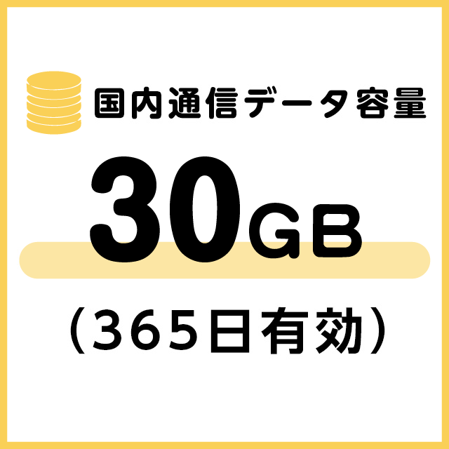国内通信データ容量追加30ギガ（365日有効）