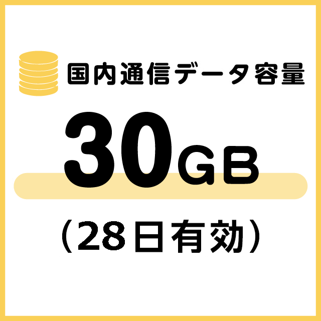 国内通信データ容量追加30ギガ（28日有効）